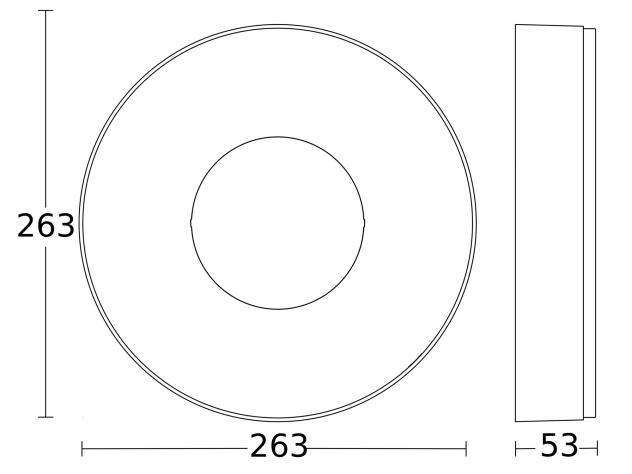  RS 200 C sans détecteur de mouvement, avec Bluetooth